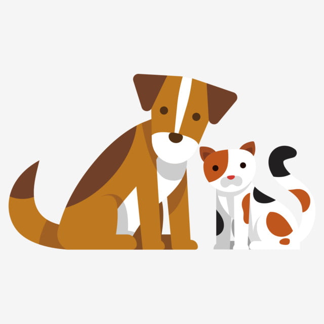 Ayuda para comida y latitas de perro y gatos, gastos veterinarios,etc..