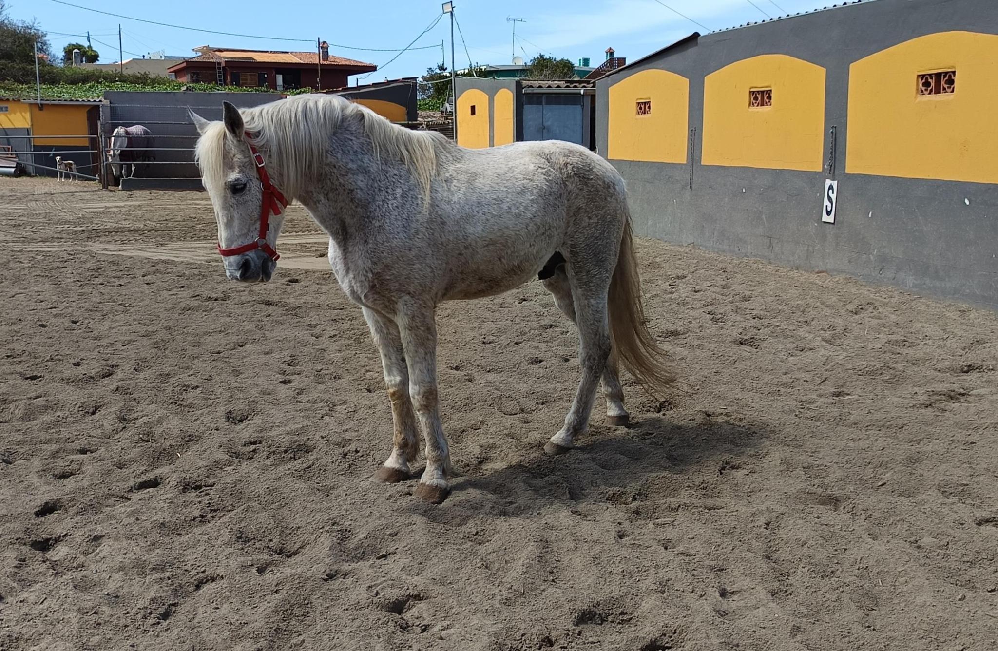 Ayuda para Curro