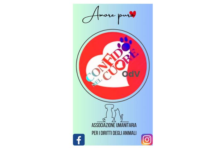 Con Fido nel Cuore ODV Roma