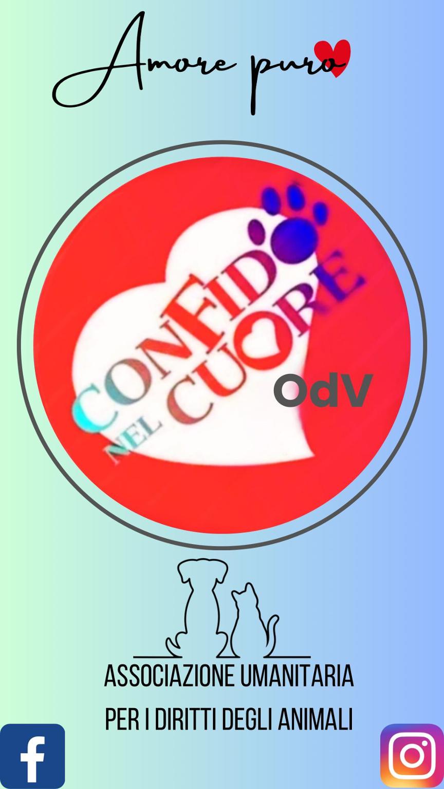 Con Fido nel Cuore ODV Roma