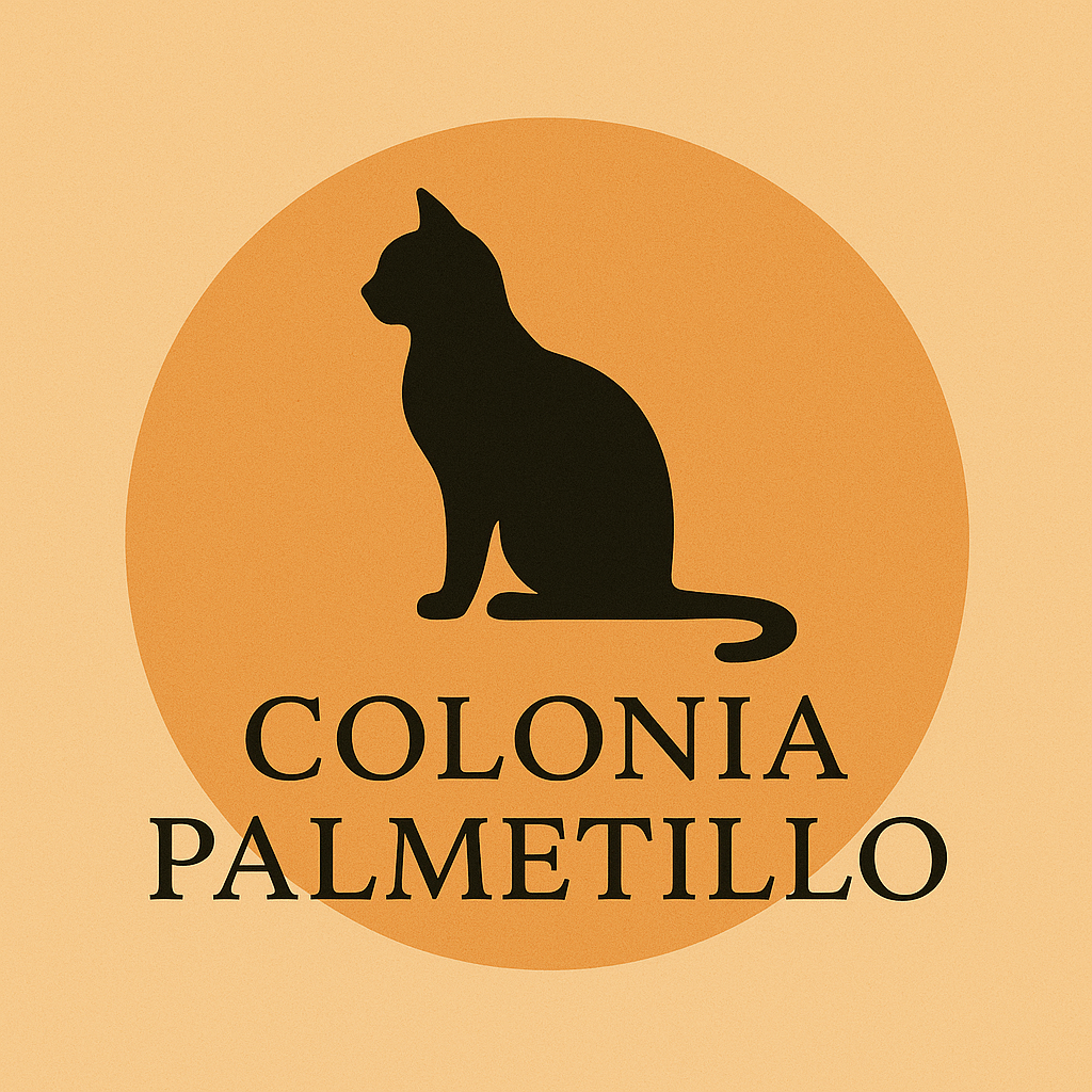 Colonia de gatos Palmetillo