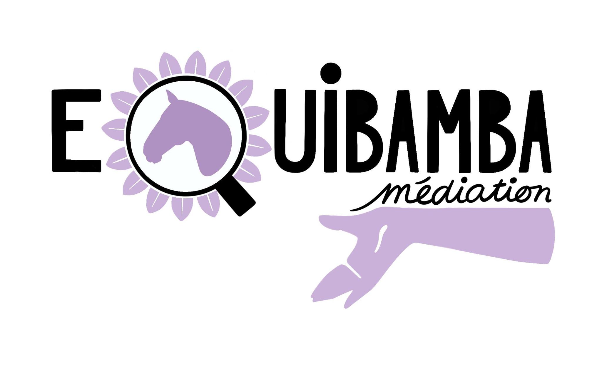 Soutenir l'association Equibamba Médiation
