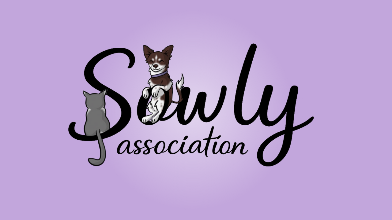 Association Sowly