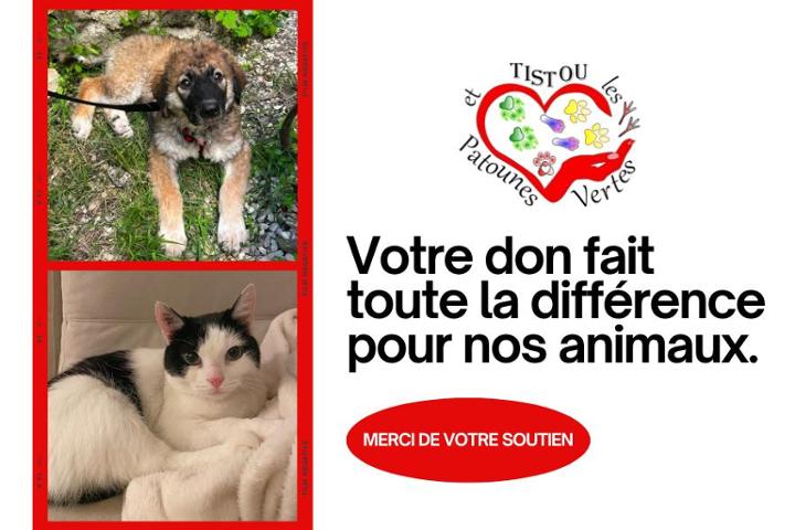 Tistou et les Patounes Vertes