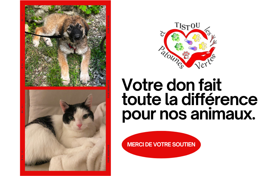 Tistou et les Patounes Vertes