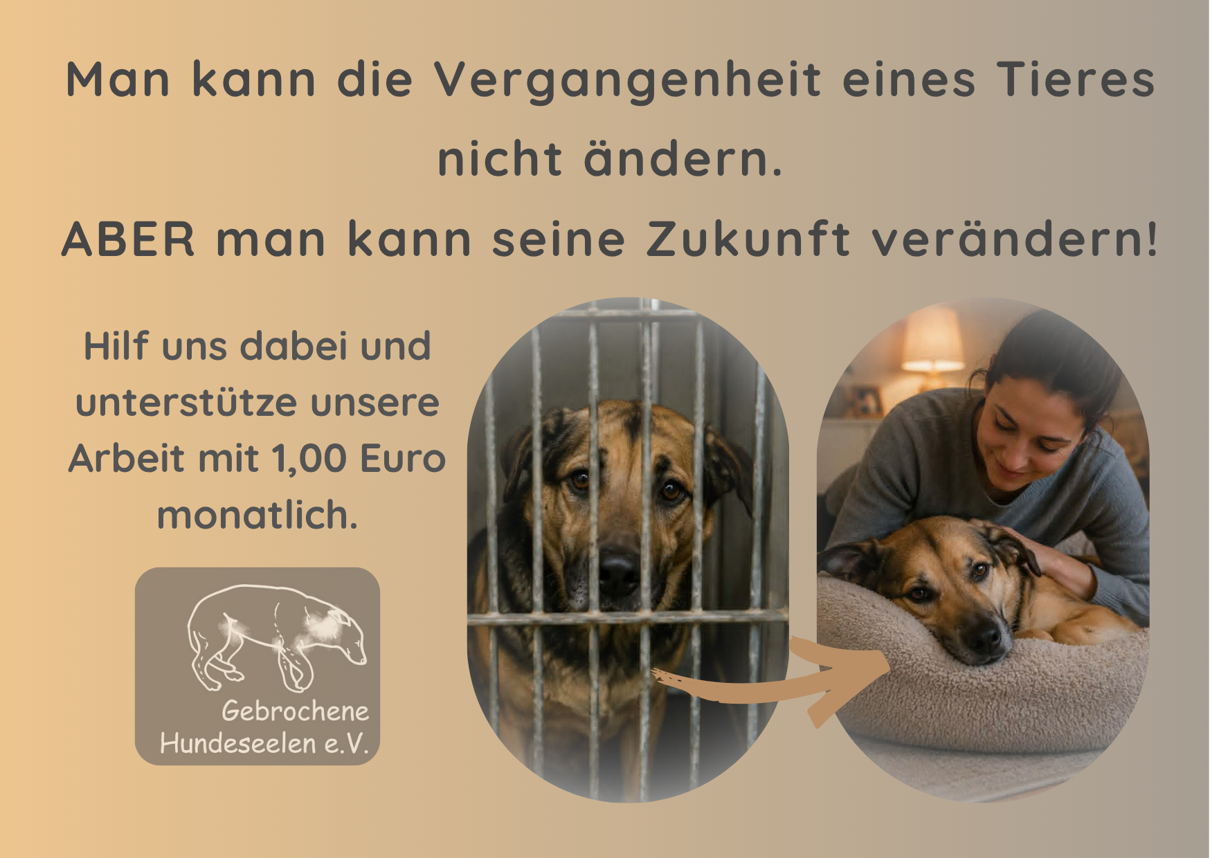 Hilfe für Gebrochene Hundeseelen