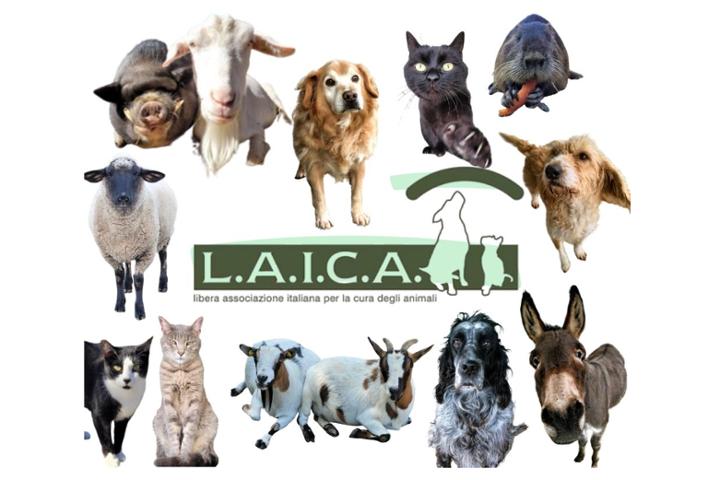 Associazione LAICA OdV Erbusco (BS)