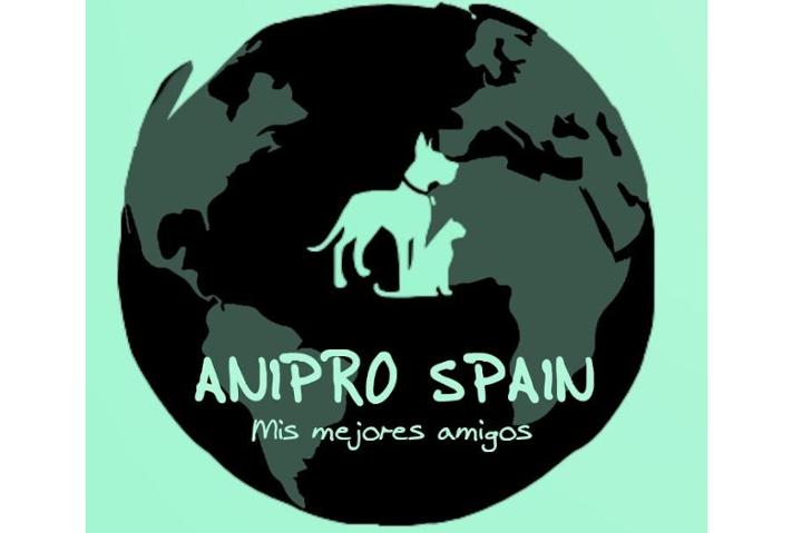 Anipro Spain, ningún animal sin hogar.