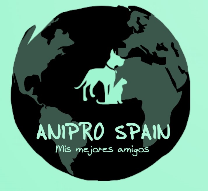 Anipro Spain, ningún animal sin hogar.