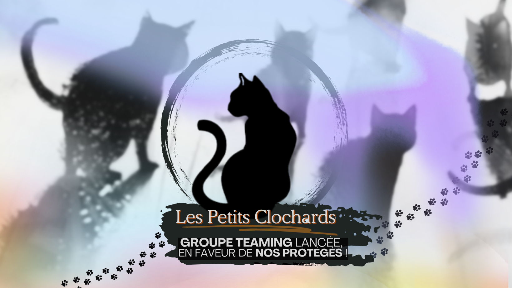 1 euro de magie chaque mois, pour nos petits Clochards !