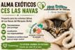 Alma Exóticos CES Las Navas