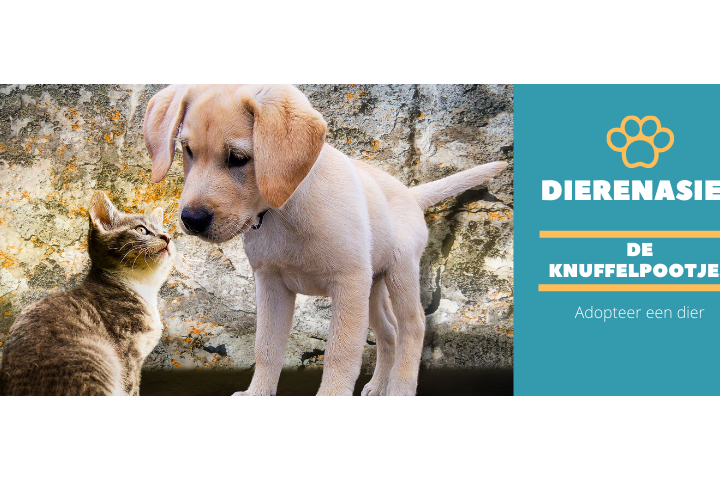 Dierenasiel De Knuffelpootjes