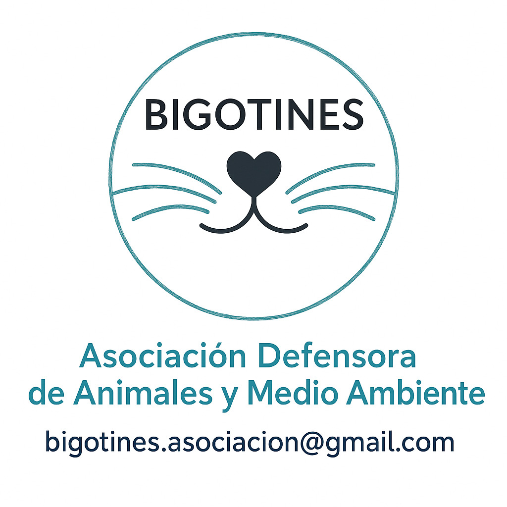 BIGOTINES ASOCIACION DEFENSORA DE ANIMALES Y MEDIO AMBIENTE
