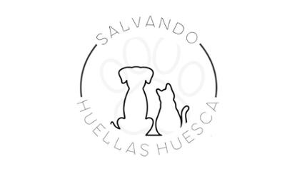 Pfoten Retten Huesca