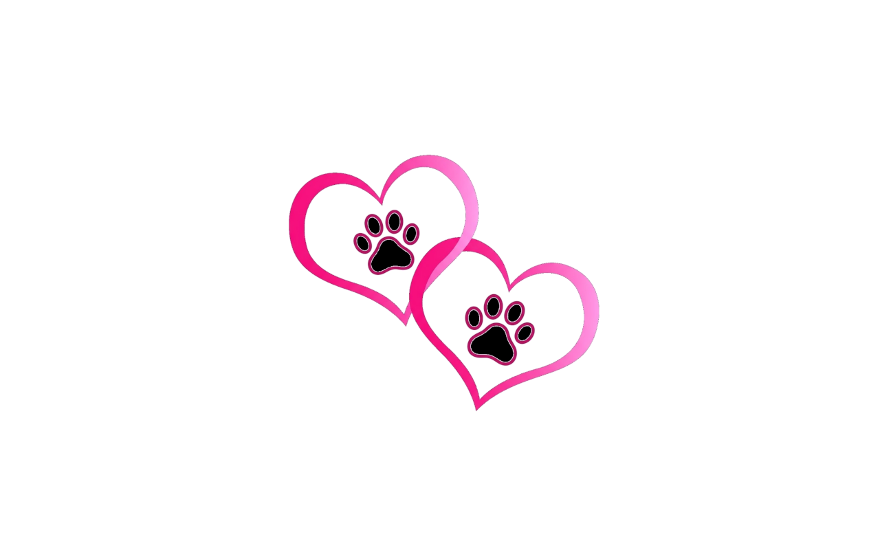 Quiereles mucho asociación animal