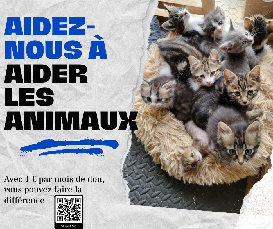 Association Animassistance St Ciers d'Abzac