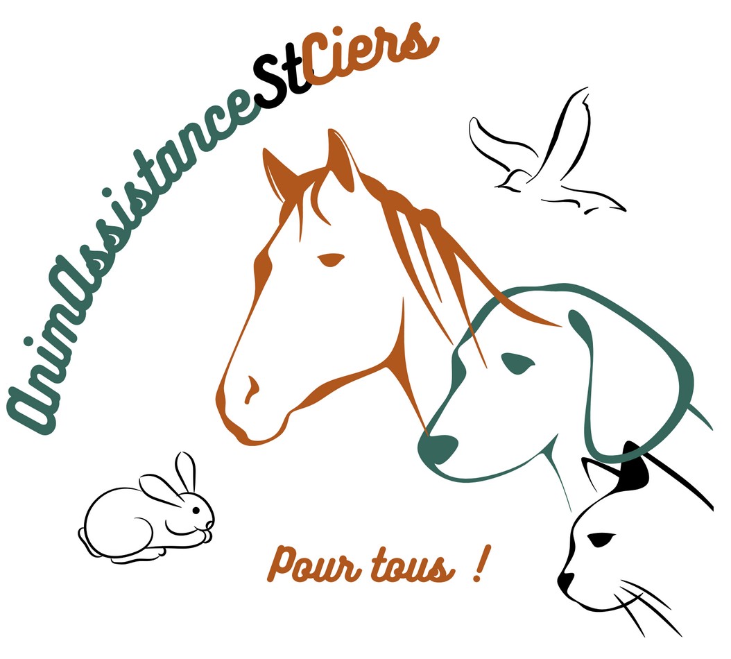 Association Animassistance St Ciers d'Abzac