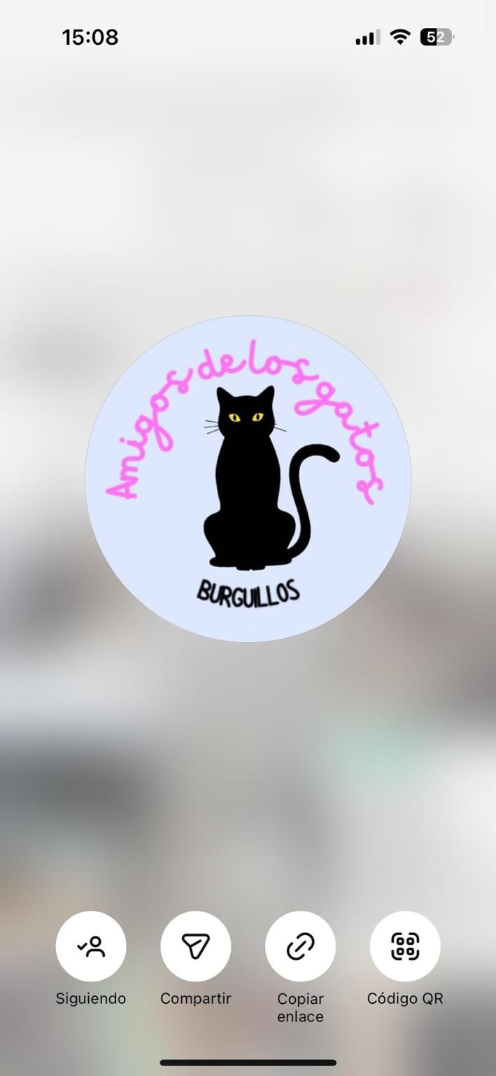 AMIGOS DE LOS GATOS BURGUILLOS