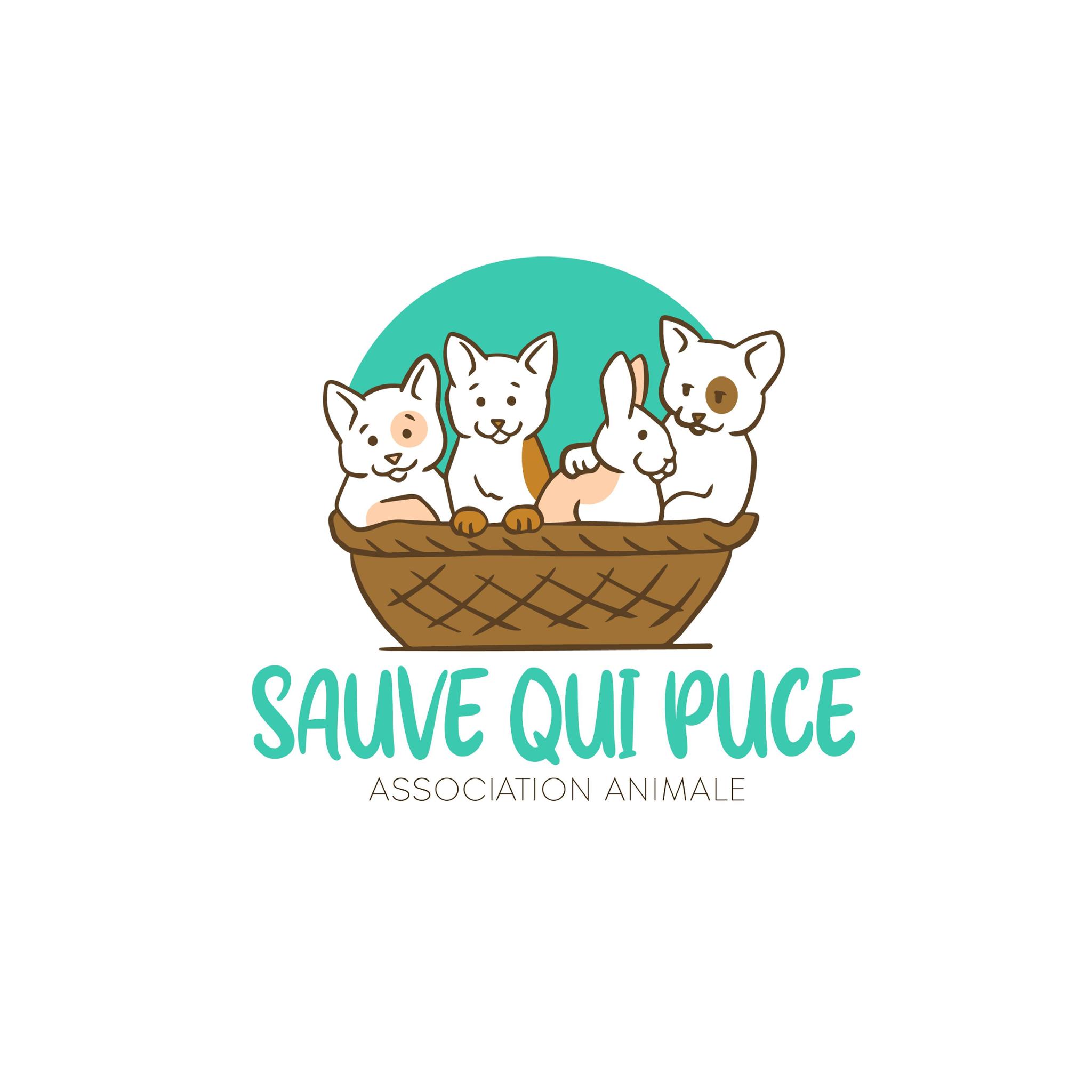 Sauve qui puce - Association Animale