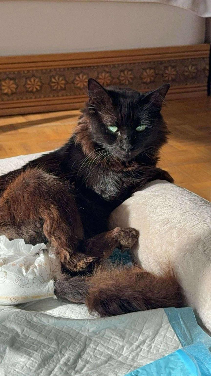 Soutenez Talya pour seulement 1€ par mois ❤️