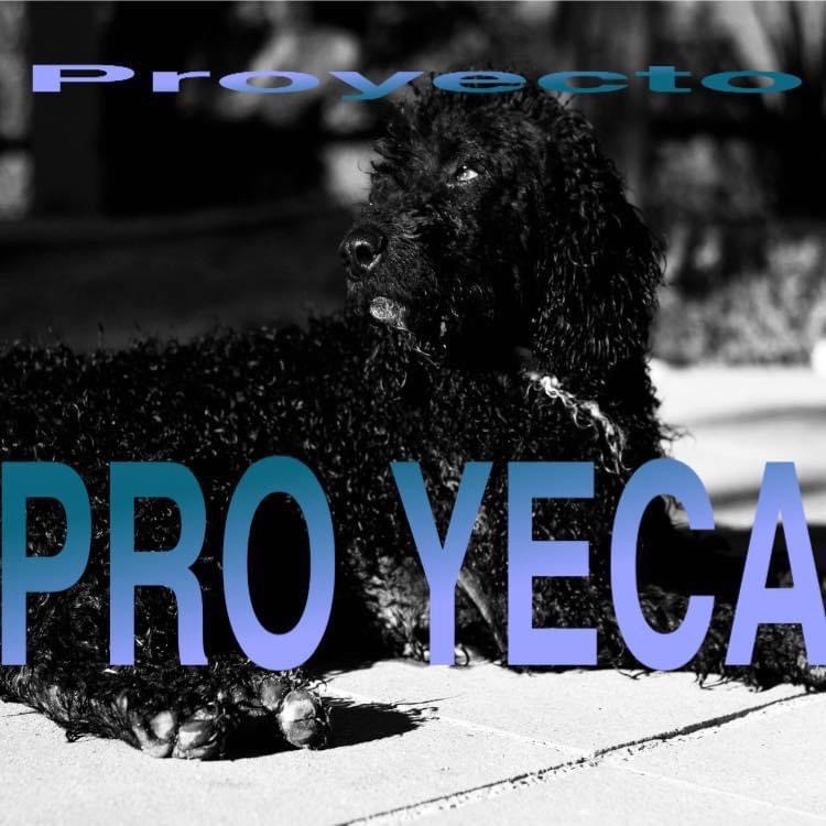 Proyecto PROYECA