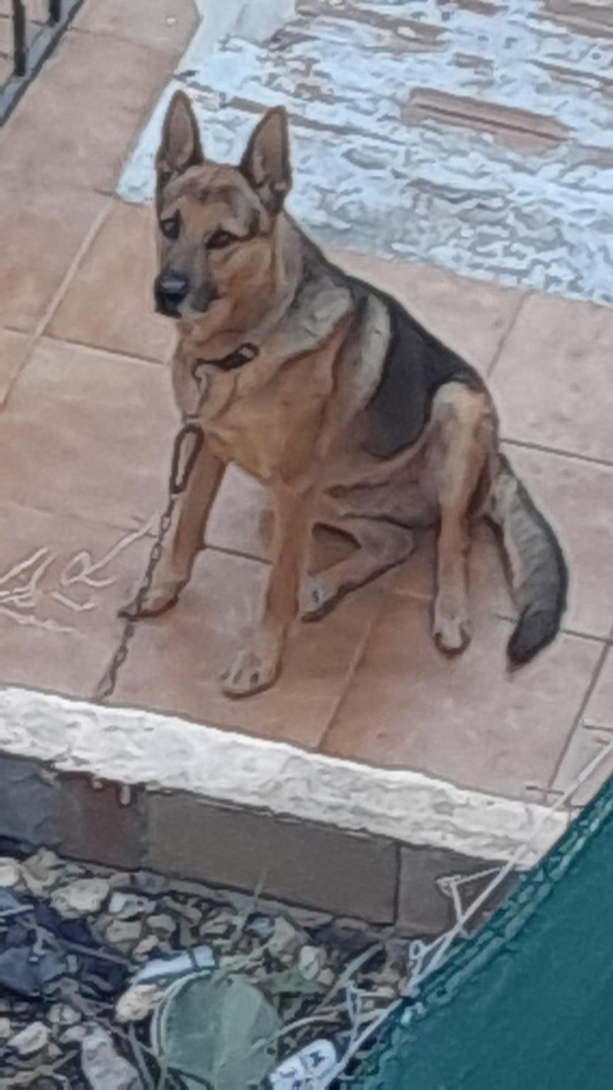 Conan