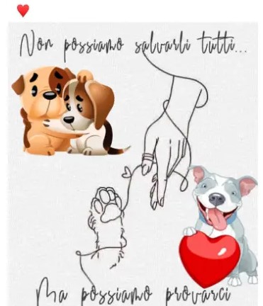 NON POSSIAMO SALVARLI TUTTI MA POSSIAMO PROVARCI O.D.V.