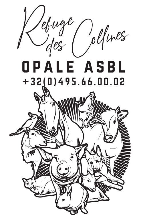 Opale ASBL - Refuge Des Collines