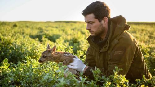 Sauvons Bambi Belgique