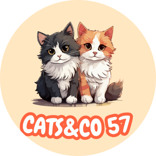 Cats&Co57