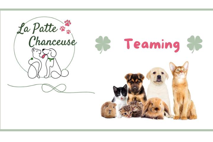 La Patte Chanceuse