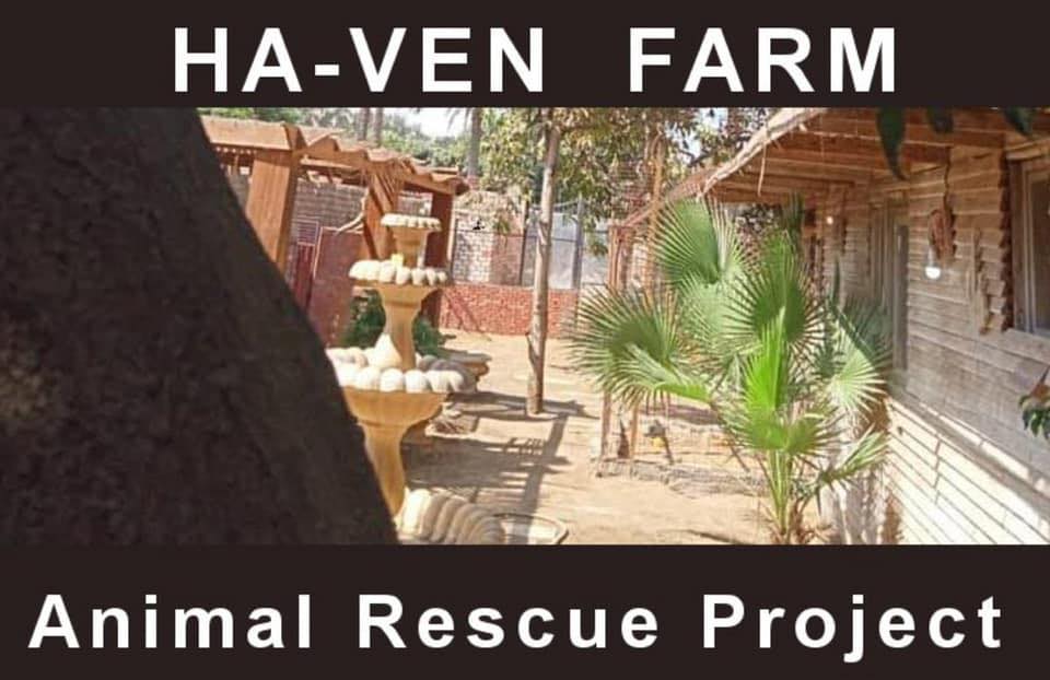 Ha-Ven Farm