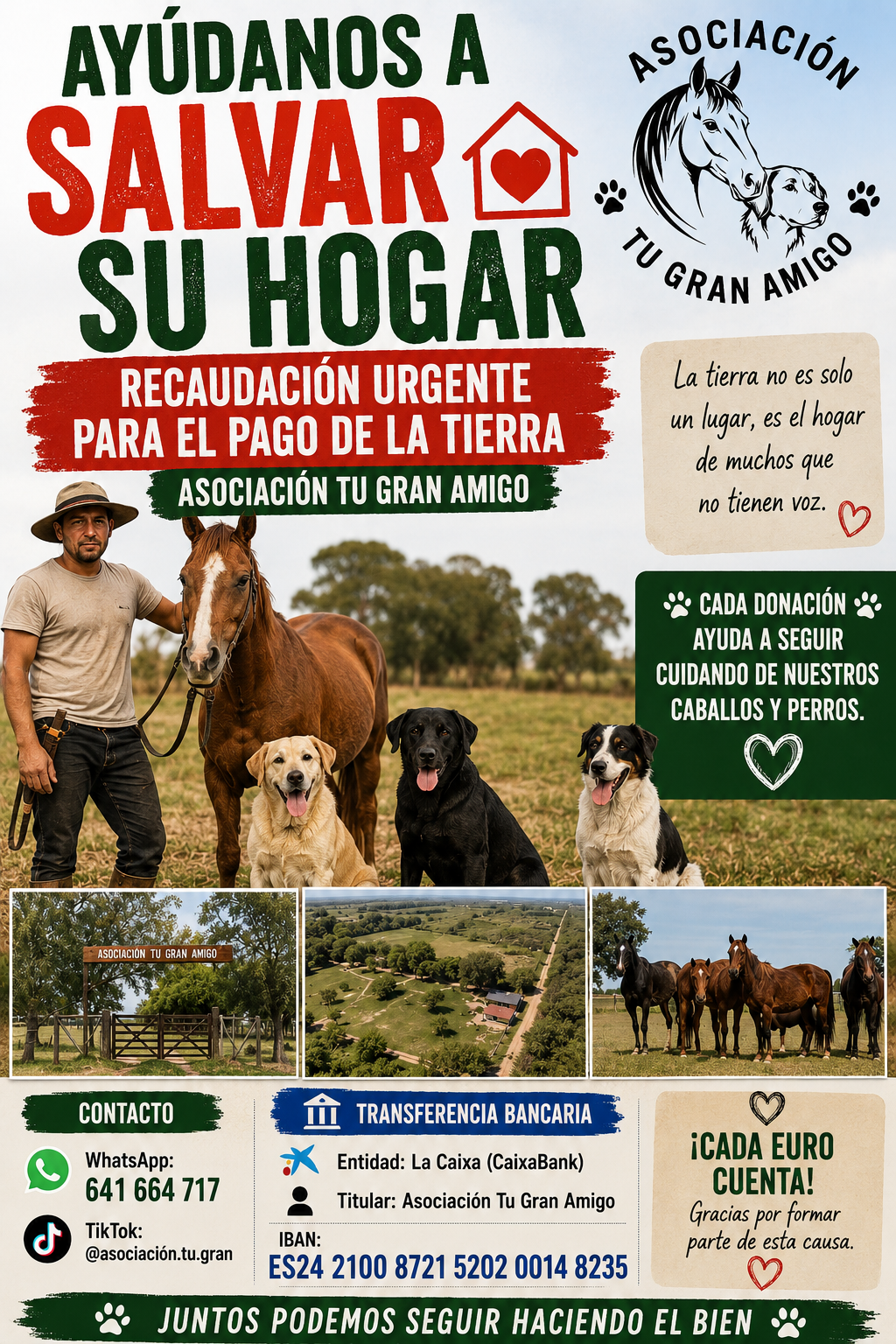 Tú gran amigo
