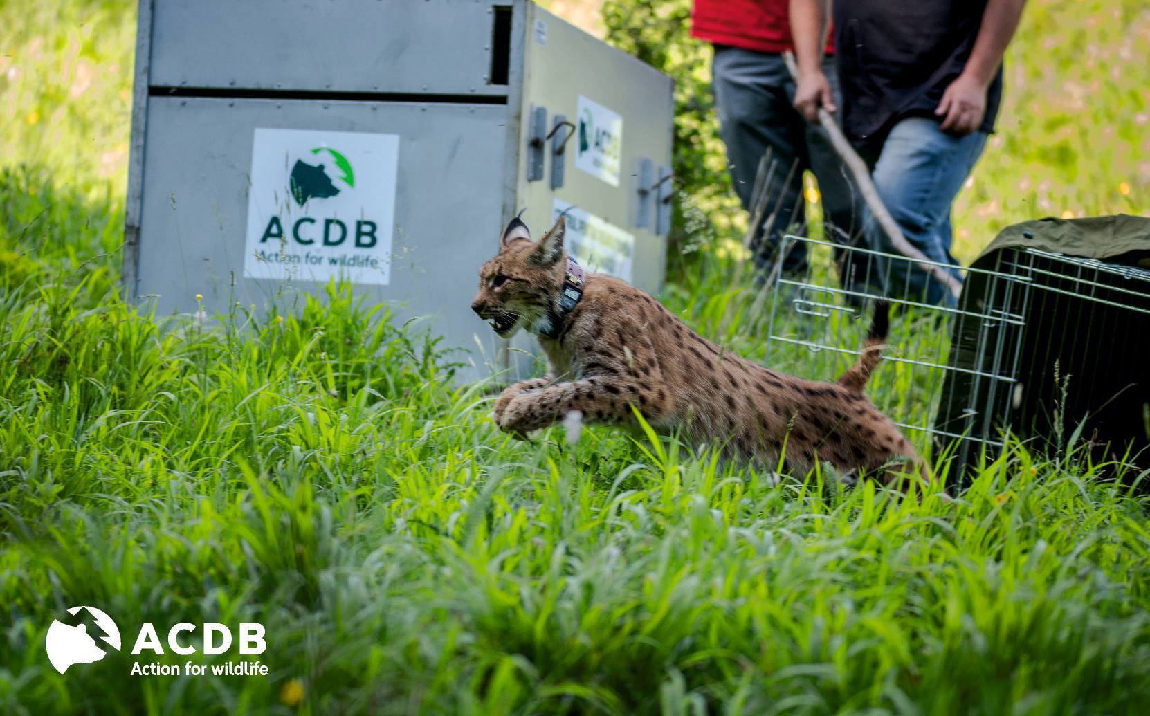 Wildlife Rehabilitation Center - ACDB