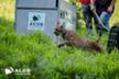Wildlife Rehabilitation Center - ACDB