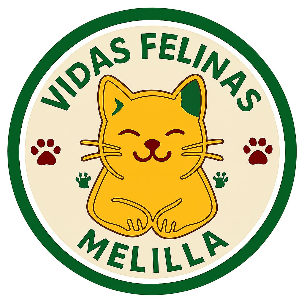 Vidas felinas Melilla