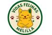 Vidas felinas Melilla