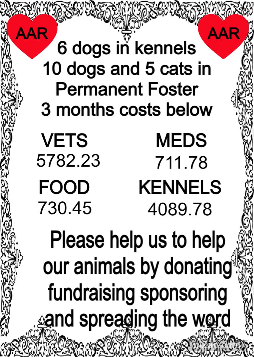 Axarquia Animal Rescue