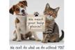 Axarquia Animal Rescue