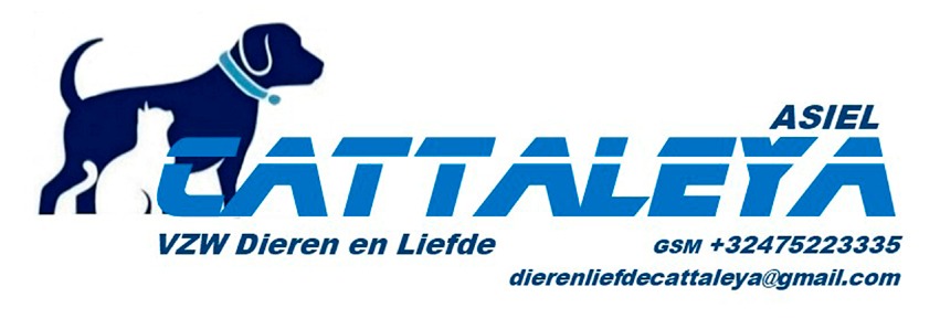 Asiel Cattaleya