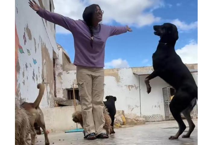 Association I NEED YOU SHELTER - REFUGE pour Chiens et Chats à Fès au Maroc