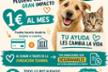 MasQPerros
