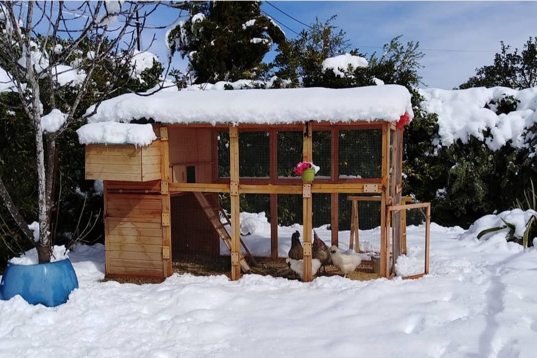 Cris's Little Refuge