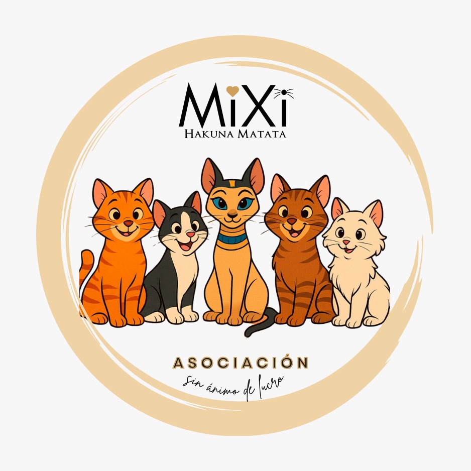 Mixi Hakuna Matata adopción y rescate
