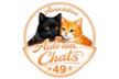Aide aux chats 49