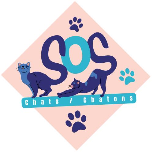 SOS Chats/chatons59