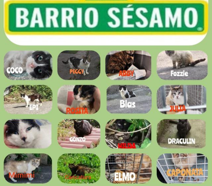 Colonia barrio sesamo