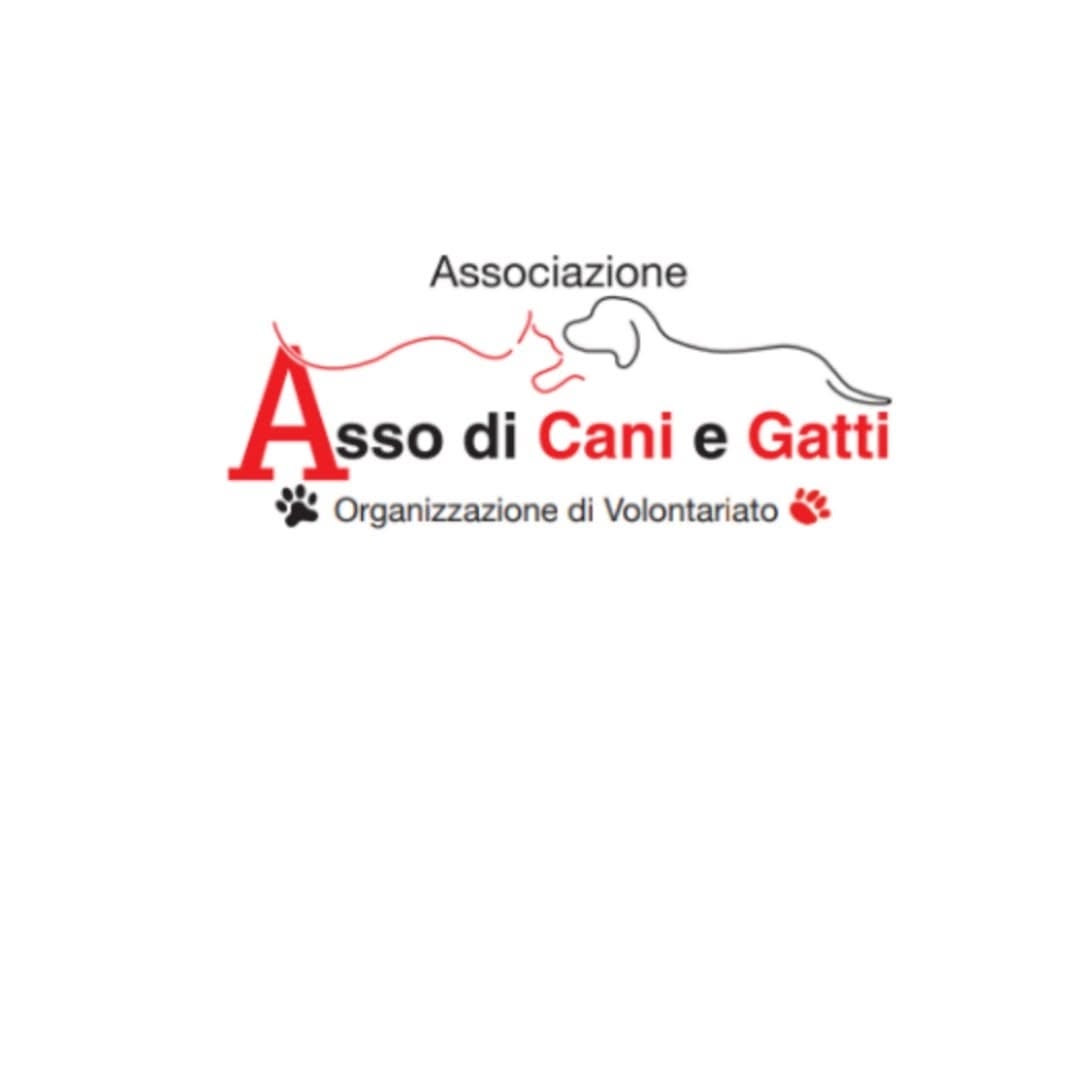 Asso di Cani Gatti