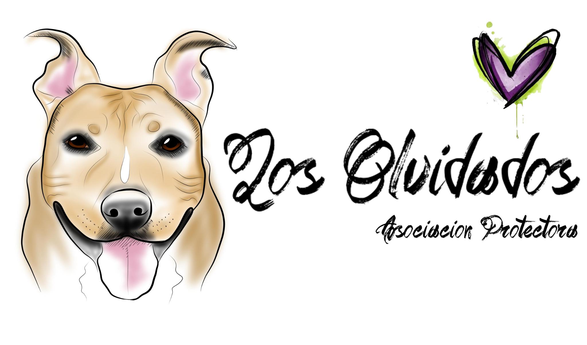 Los olvidados asociación protectora