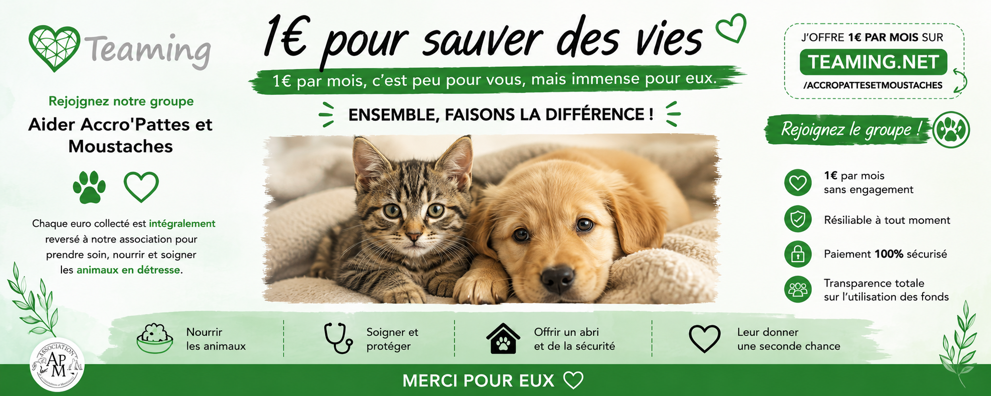 Aider Accro'Pattes et Moustaches